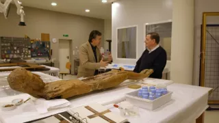 Emoce v umění (7/24)