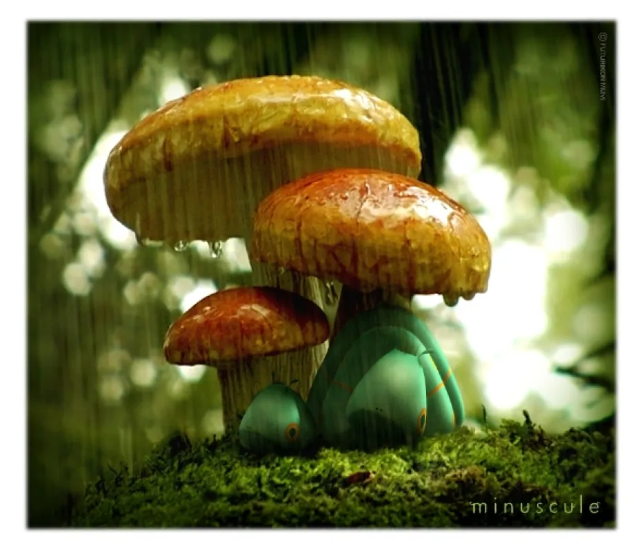 Mrňouskové - Údolí ztracených mravenců, 2013 - fotogaléria