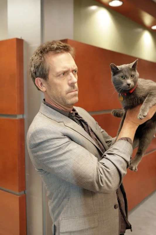 Dr. House (House M.D. V), 2008 - fotogaléria
