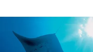 Tajemství oceánů VI (1)