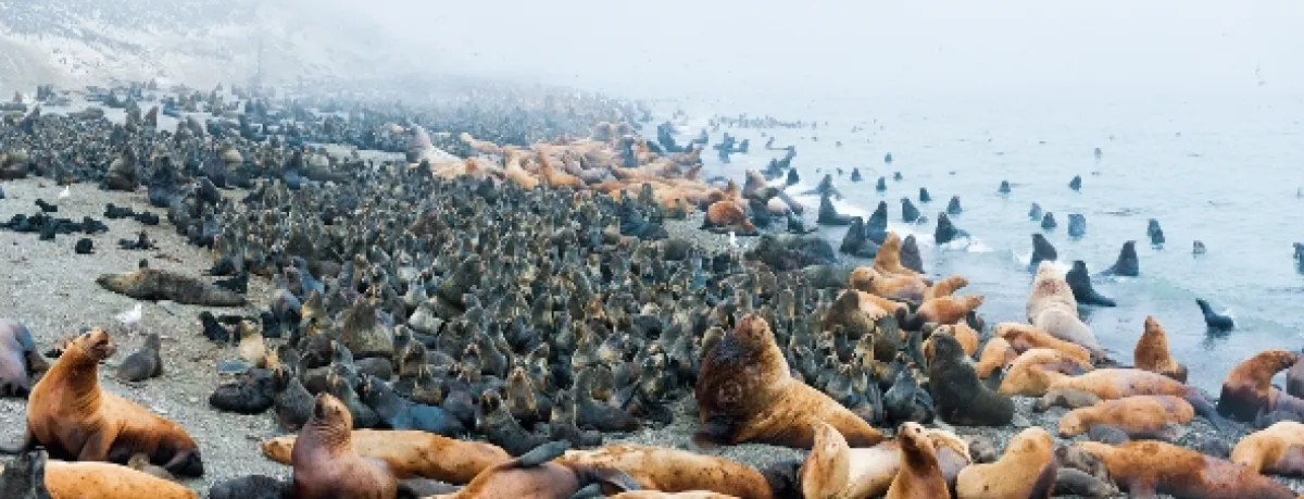 Zázračná Asie, 2024 - fotogaléria