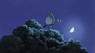 Můj soused Totoro