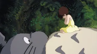 Můj soused Totoro