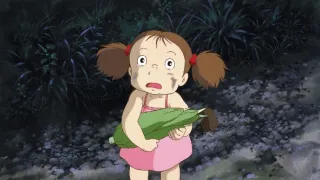Můj soused Totoro