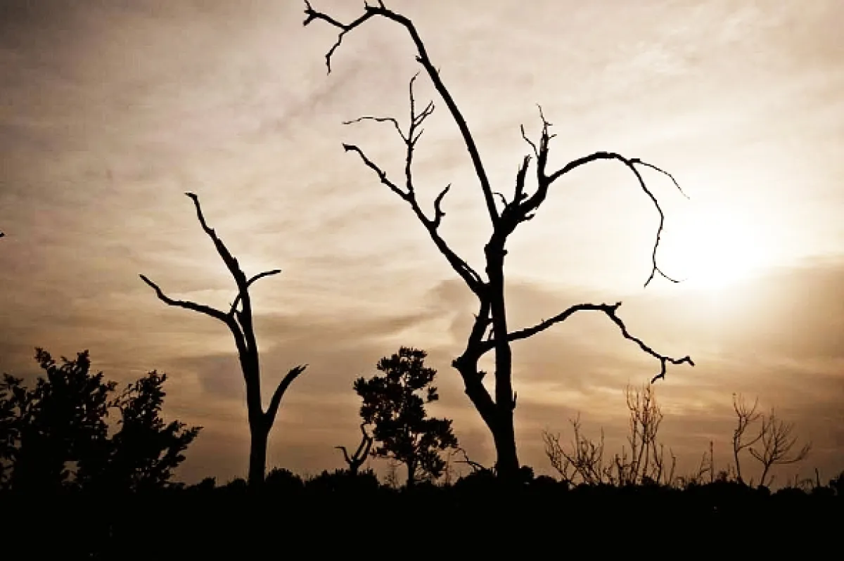 Texaský kat (Texas Killing Fields), 2011 - fotogaléria