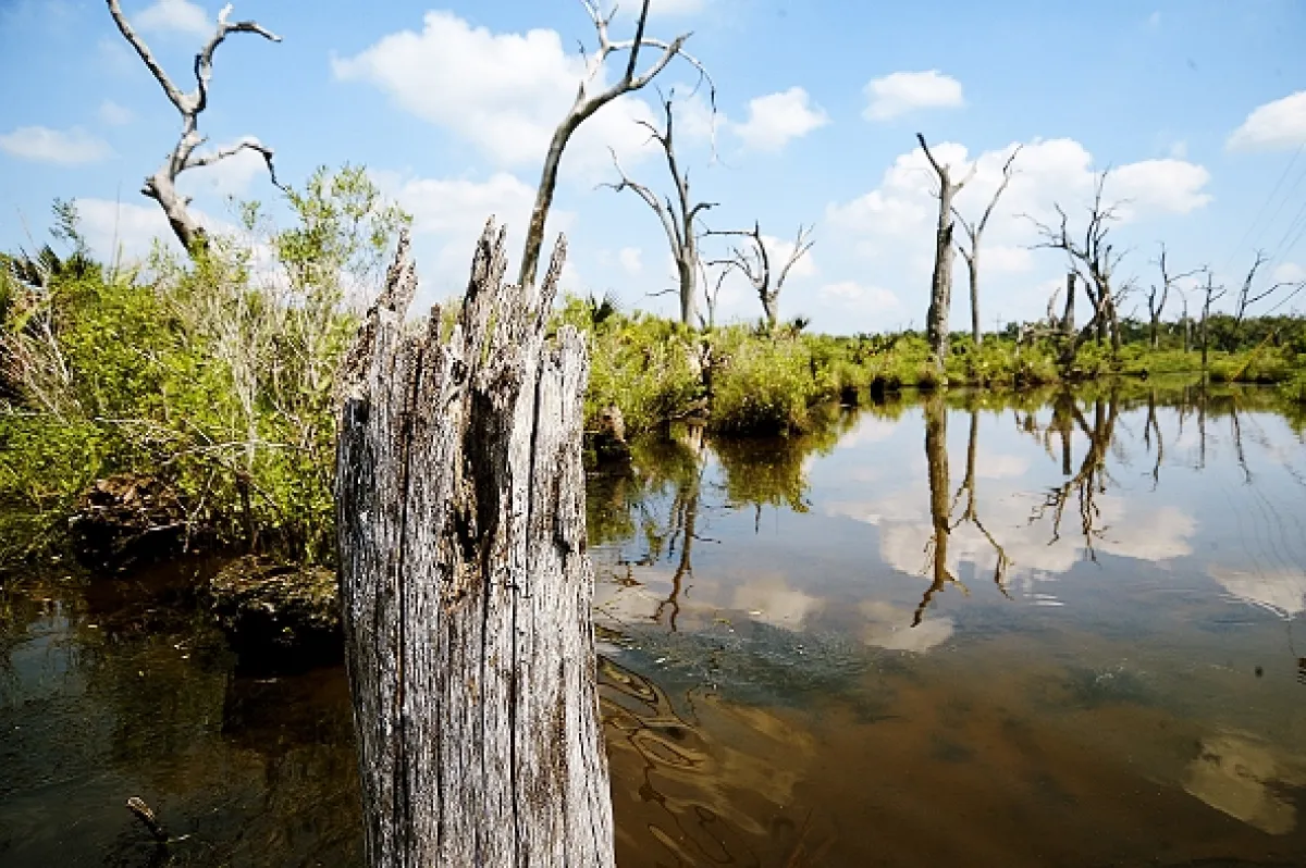 Texaský kat (Texas Killing Fields), 2011 - fotogaléria