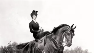 Sisi, císařovna na útěku