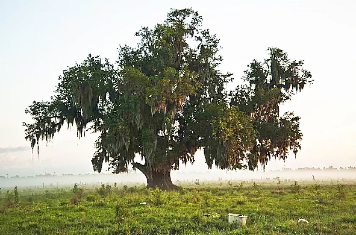 Texaský kat (Texas Killing Fields), 2011 - fotogaléria