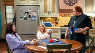 Dva a půl chlapa VII (22)