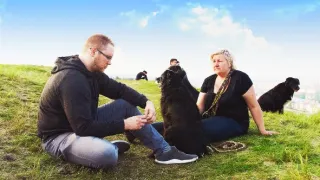 Síla
