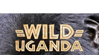 Divoká Uganda