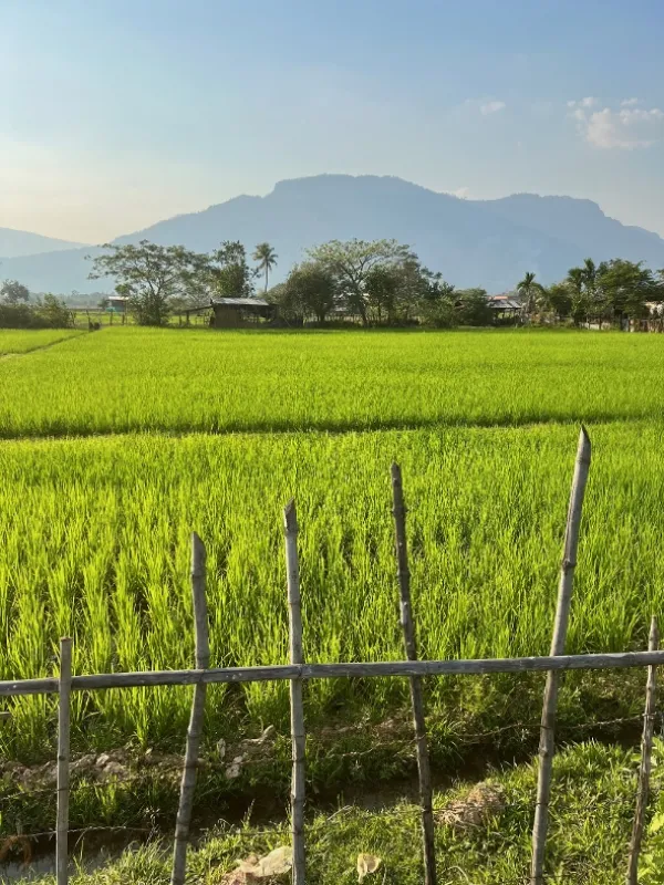 Laos: Ozvěny harmonie, 2023 - fotogaléria