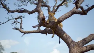 Afrika z výšky