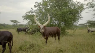 Afrika z výšky