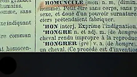 Homunkulus