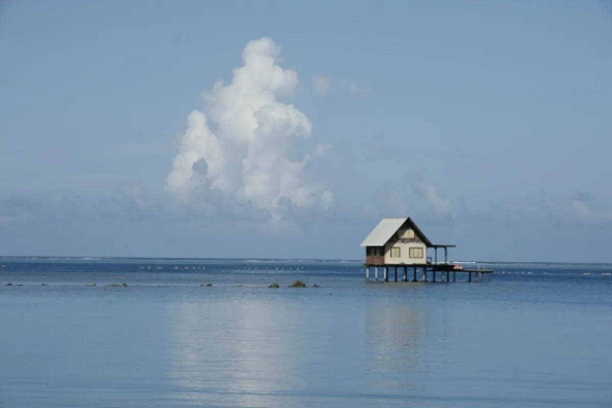 Na ceste po Bora Bora, 2013 - fotogaléria