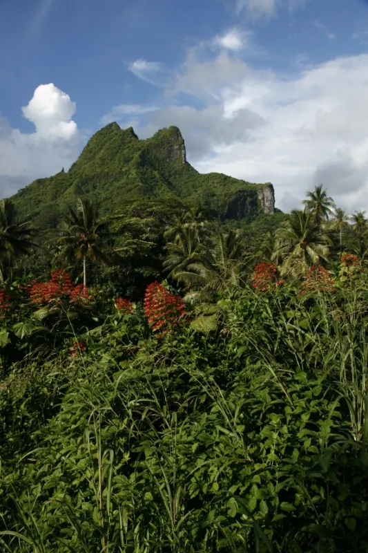 Na ceste po Bora Bora, 2013 - fotogaléria