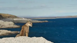 Zázračná planeta: Dynastie II (2/6)