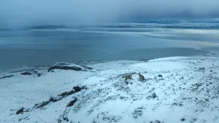 Zázračná planeta: Dynastie II (2/6)