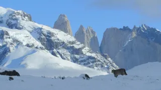 Zázračná planeta: Dynastie II (2/6)