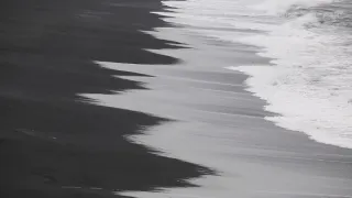 Island, útočiště papuchalků