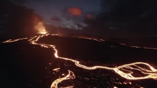 Island, útočiště papuchalků