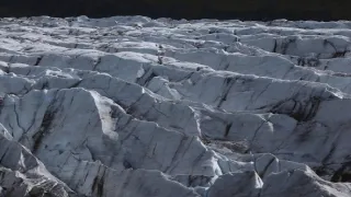 Island, útočiště papuchalků