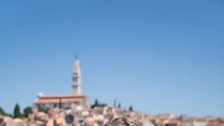 Objevování chutí s Gordonem Ramsaym