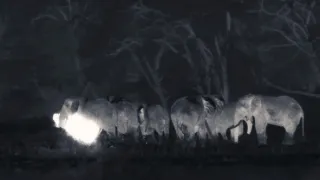 Zázračná planeta: Dynastie II (3/6)