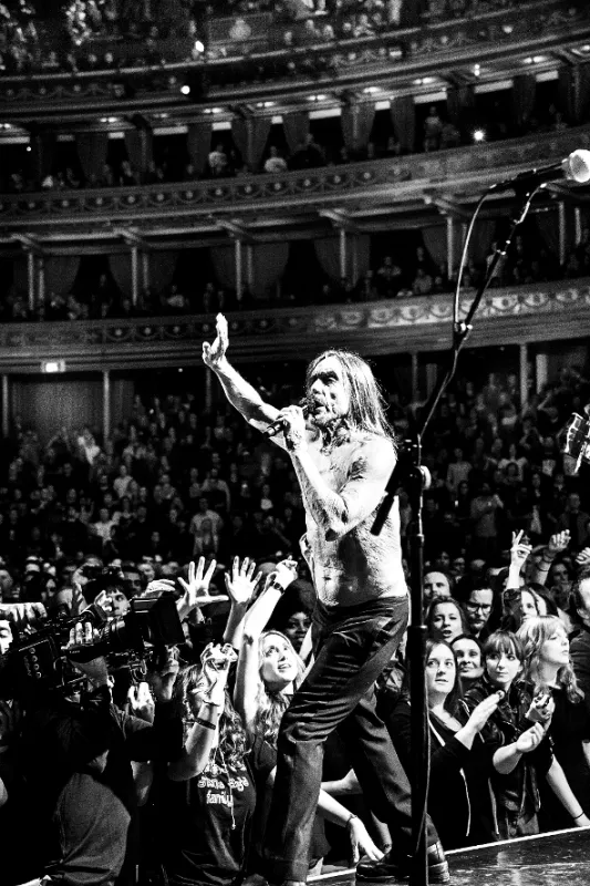 Iggy Pop: Post Pop Depression - fotogaléria