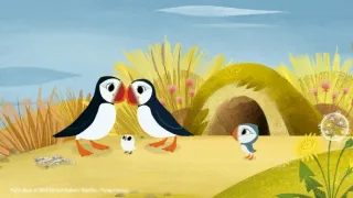 Skála papuchalků