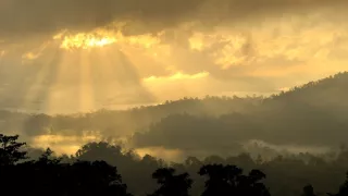 Zázračná planéta: Posledné raje na Zemi - Borneo