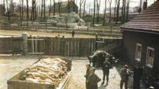 Koniec vojny vo farbe (1/5)