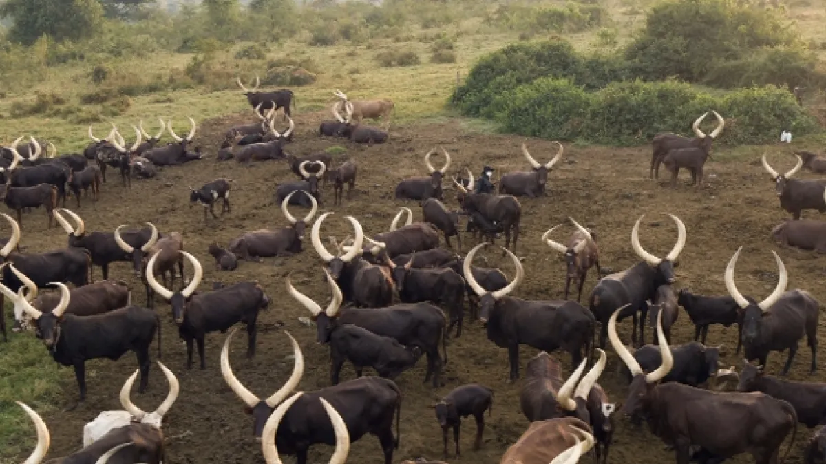 Afrika z výšky - fotogaléria