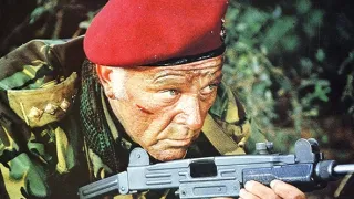 Divoké husy