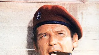 Divoké husy