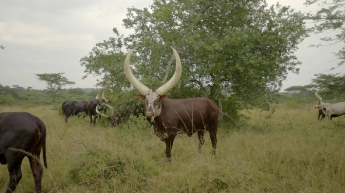 Afrika z výšky - fotogaléria