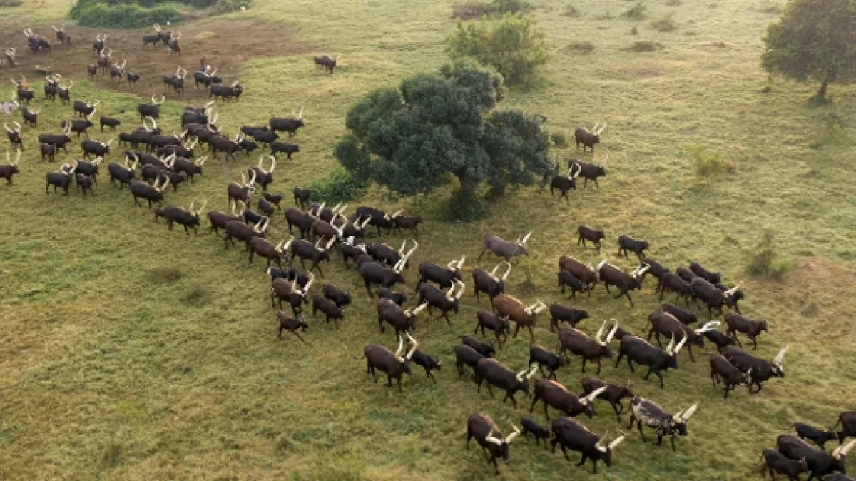 Afrika z výšky - fotogaléria