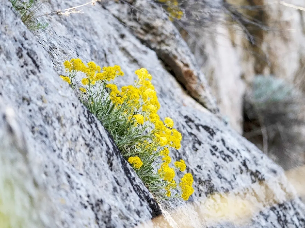 Přírodní divy Bílých Karpat - fotogaléria