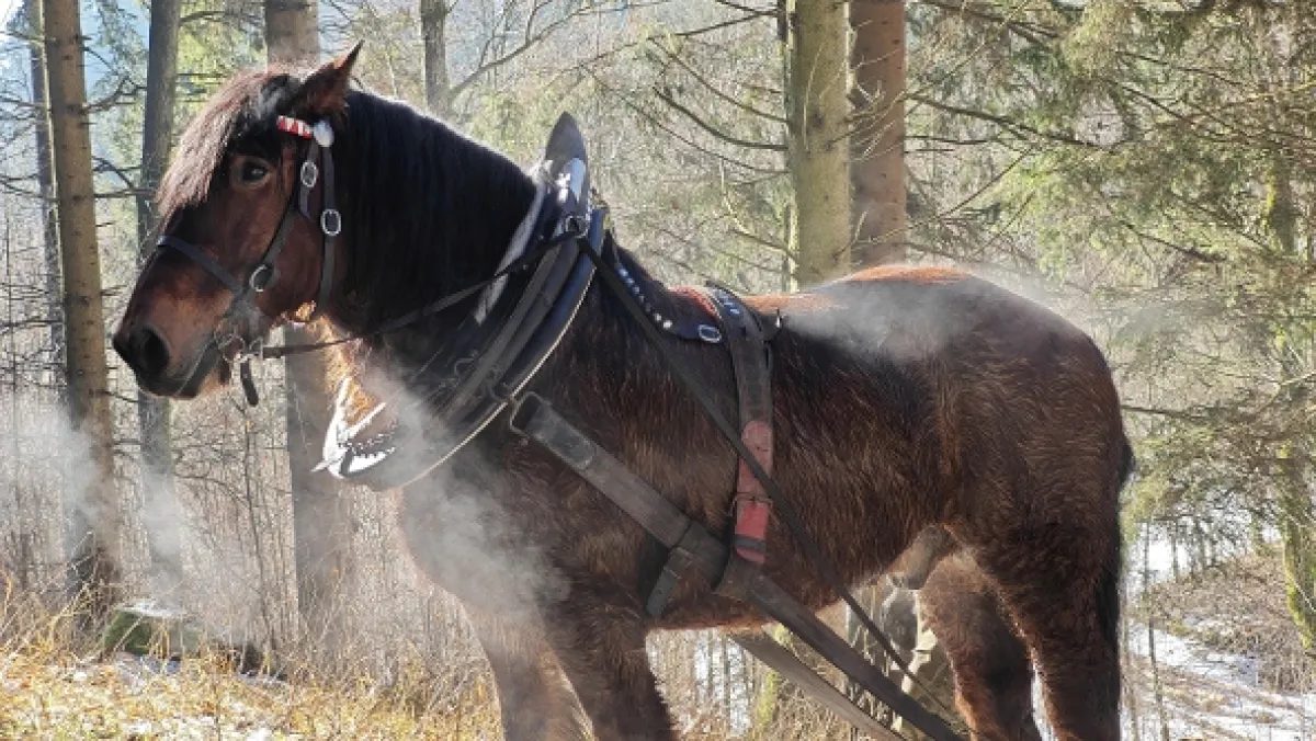 Přírodní divy Bílých Karpat - fotogaléria