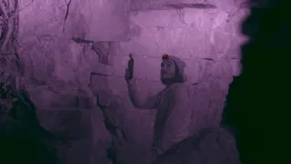 Jak se dorozumívají zvířata (1/5)