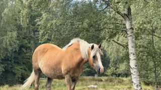 Zpátky do přírody 2
