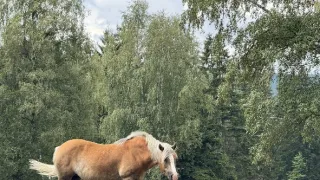 Zpátky do přírody 2